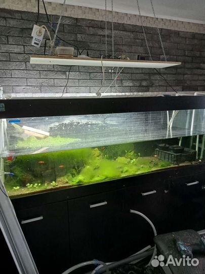 Аквариум