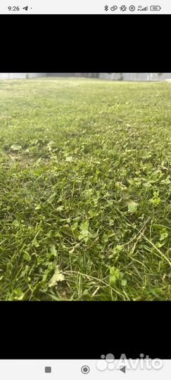 Покос травы триммером