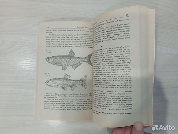 Книги о рыбалке Рыболовный календарь Всё о снастях