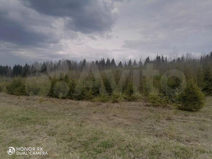 Участок 13,5 сот. (СНТ, ДНП)