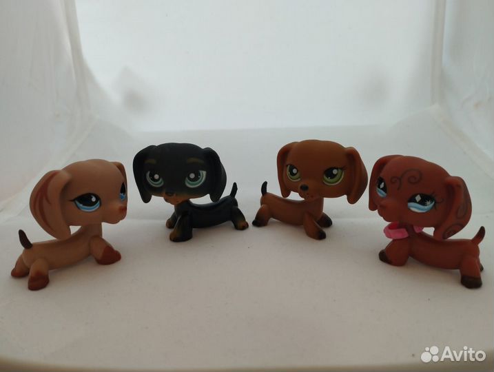 Littlest pet shop