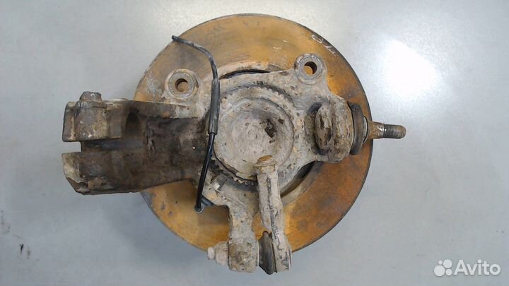 Ступица (кулак, цапфа) Ford Transit, 2007