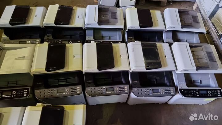 Принтеры Ricon mfu,цветники