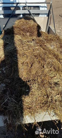 Продам навоз перегной