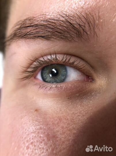 Бровист+ ду / Ламинирование ресниц