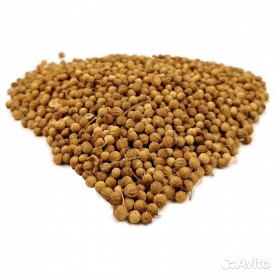 Семена кориандра