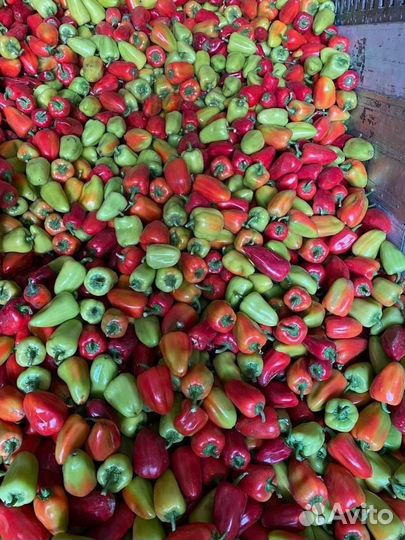 Доставка овощей и бакалеи