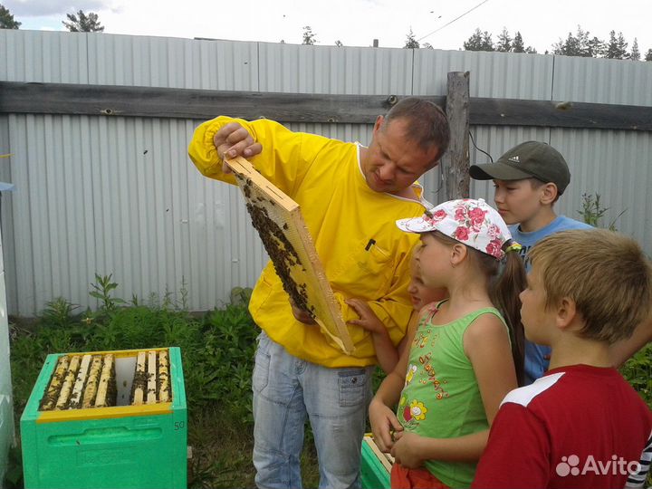 Таёжный мёд от местного пчеловода