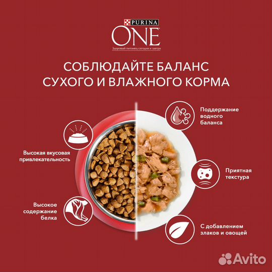 Purina ONE для собак, с индейкой, 1,5 кг