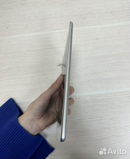 iPad Mini 4 Model A1538