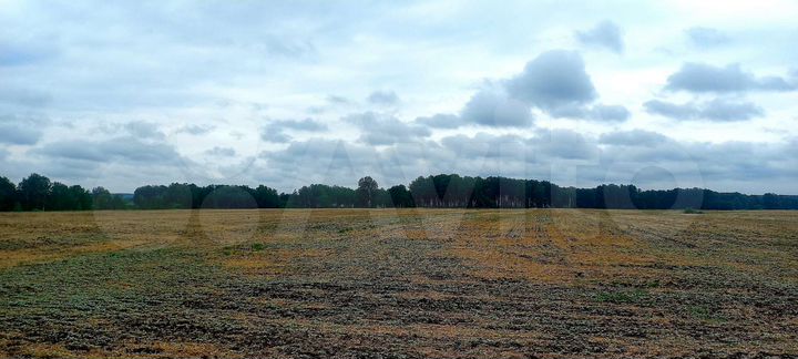 Участок 11,2 га (СНТ, ДНП)