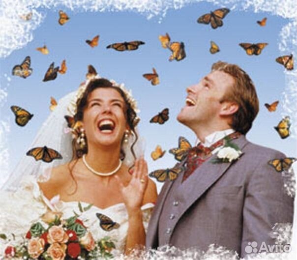 Франшиза Салюты из Живых Тропических Бабочек 2274