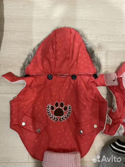 Одежда для маленьких собак s