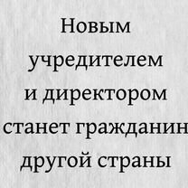Альтернативная ликвидация ООО, Мытищи