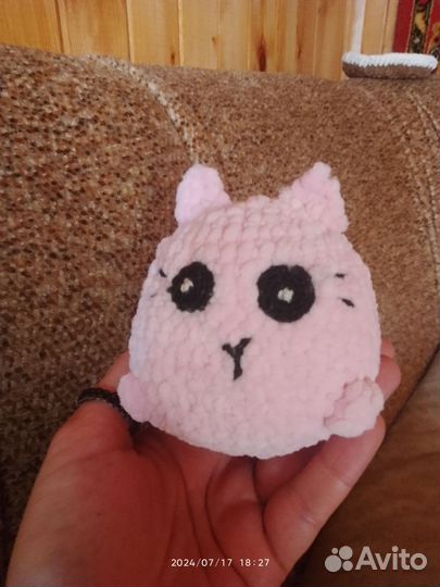 Pusheen cat