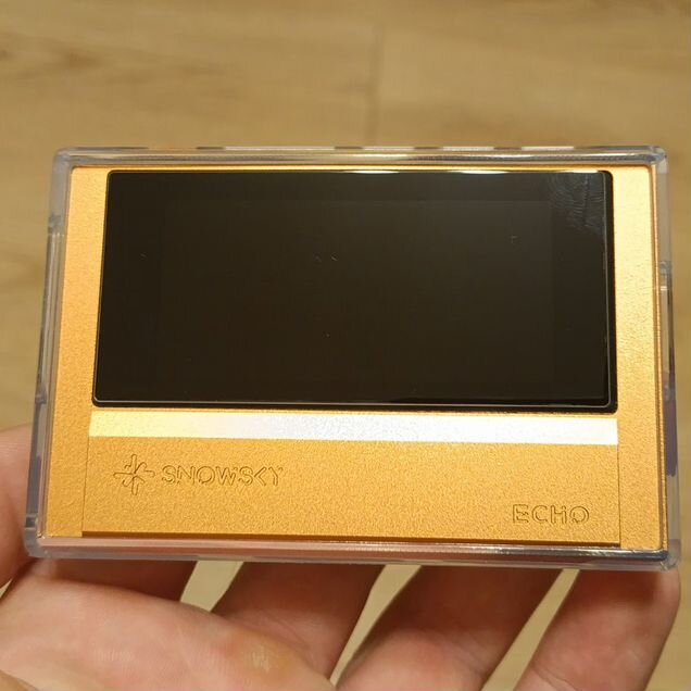 Fiio snowsky echo