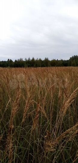 Участок 10,6 га (СНТ, ДНП)