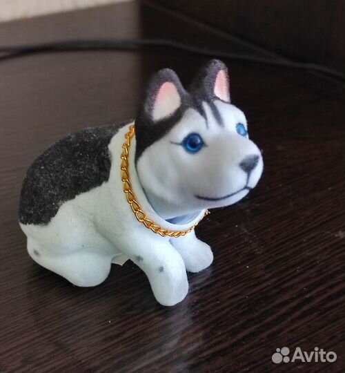 Собака с кивающей головой