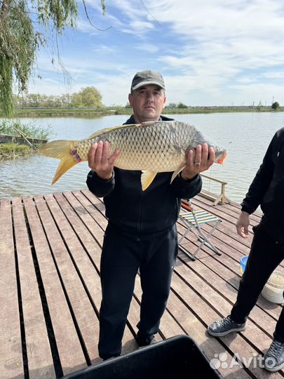 Рыбалка и отдых