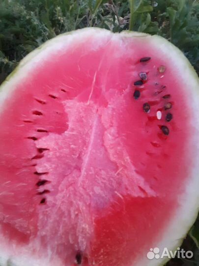 Арбузы