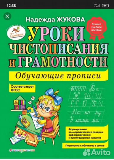 Уроки чистописания и грамотности. Надежда Жукова