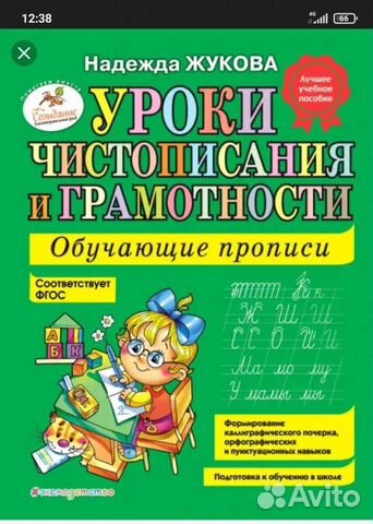 Уроки чистописания и грамотности. Надежда Жукова