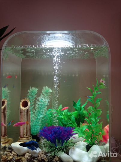 Аквариум для рыб