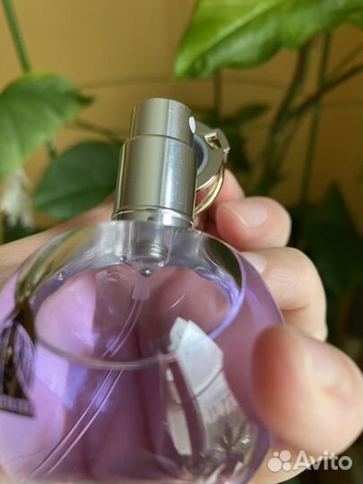 Lanvin eclat d arpege парфюмерная вода