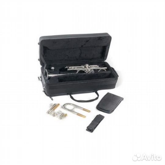 Труба Roy Benson TR-402CS