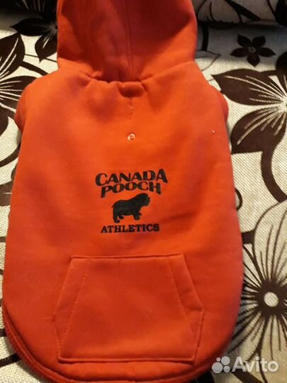 Теплая толстовка для собак