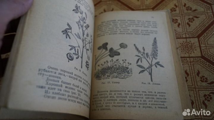 В. Н. Чудинов. Заводите пчел 1925 год