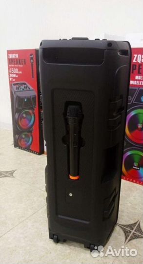 Колонка с беспроводным микрофоном