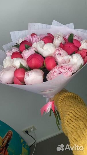 Пионы Букет