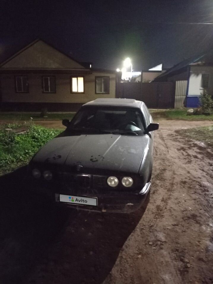 BMW 5 серия: фото владельца