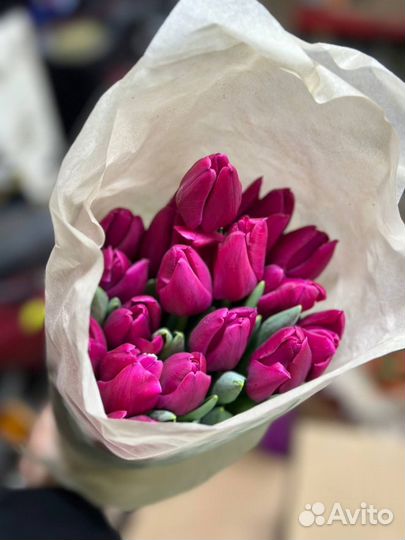 Тюльпаны к 8 марта