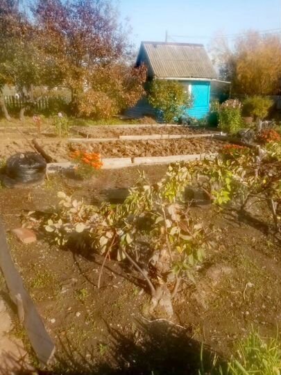 Дача 20 м² на участке 10,5 сот.