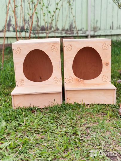Гнездо для куриц с яйцесборником