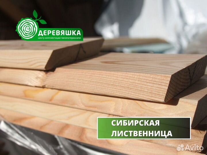 Планкен лиственница