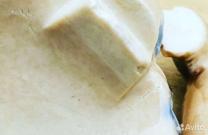 Набор черепах Англия