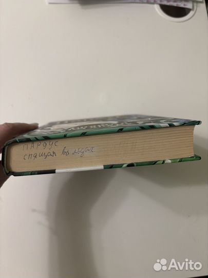 Пардус Спящая во льдах