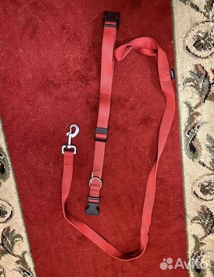 Амуниция для собак