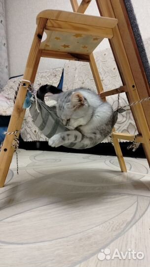 Когтеточка для кошек высокая с игровым комплексом