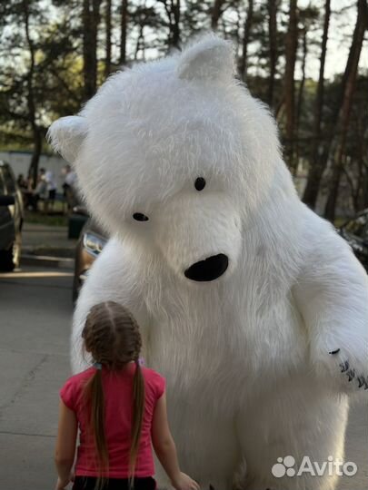 Белый мишка поздравление/Аниматоры/Ростовые куклы