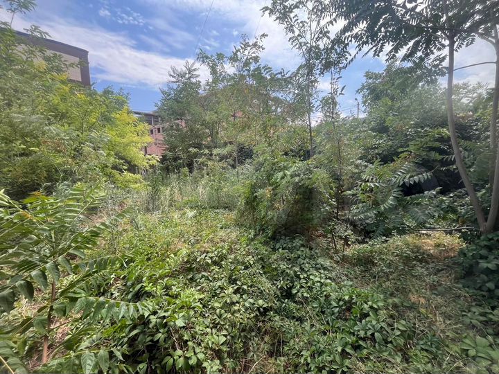 Дом 59 м² на участке 5 га