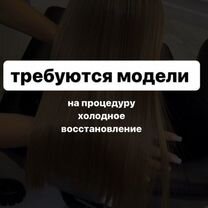 Требуются модели