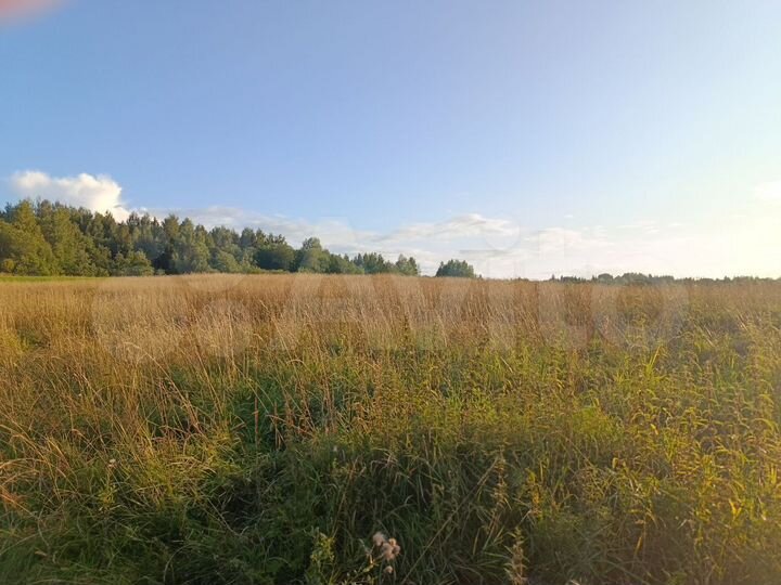 Участок 1,86 га (ИЖС)