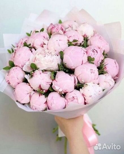 Пионы Букет пионов