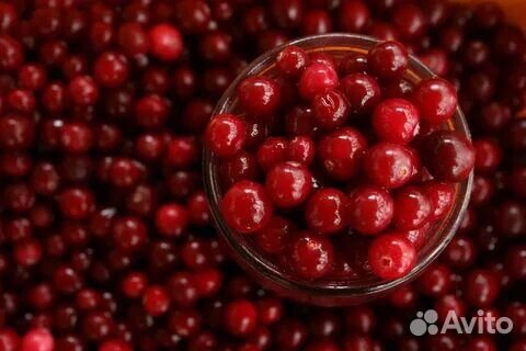 Клюква,брусника,облепиха дикая,черника,облепиха)