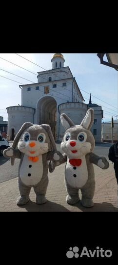 Мишки, зайки, кот, горилла