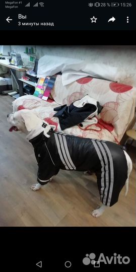 Комбинезон зима для большой собаки(сука)